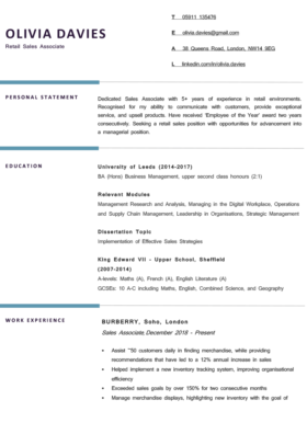The Berkshire CV Template in blue