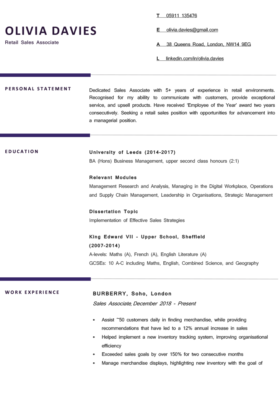 The Berkshire CV Template in purple