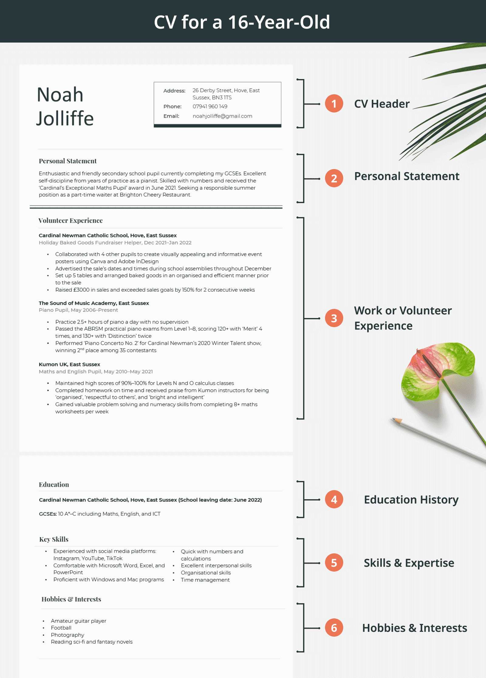 How to lay out your CV for a 16 year old, as shown in an infographic that contains a blooming flower in the background.