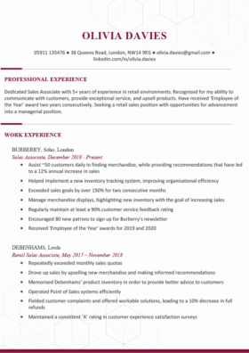 The Chelsea CV Template in burgundy