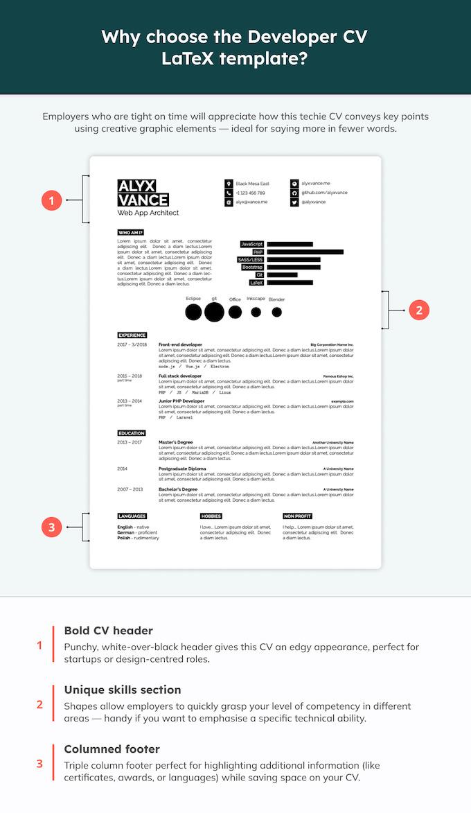 A visual CV template for a developer role that is typeset using LaTex. 