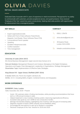 The "Dynamic" CV Template in green