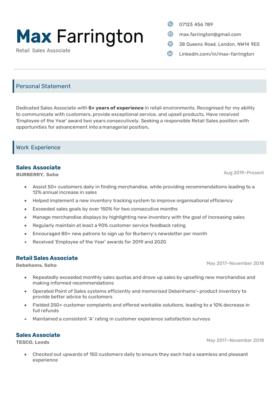 Blue version of the Executive CV template