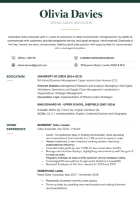 The Formal CV Template in green