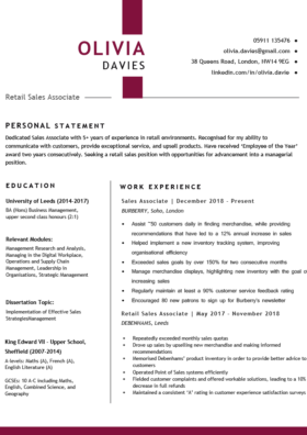 The Metropolitan CV Template in burgundy