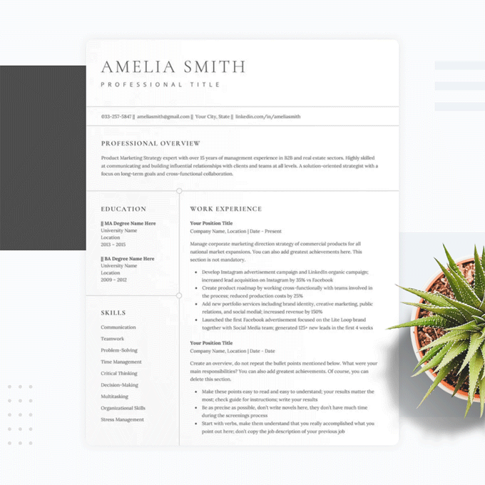 Modern CV for CV design page