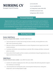 Nursing CV Examples Writing Guide For 2025