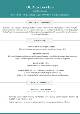The Soho CV Template in blue