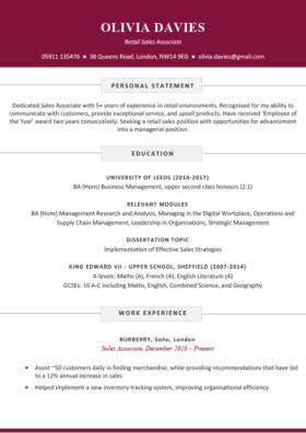 The Soho CV Template in burgundy