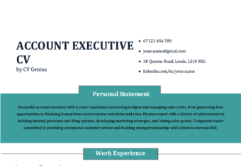 An account executive CV with a personal statement section highlighted in blue to make the candidate's most relevant qualifications stand out