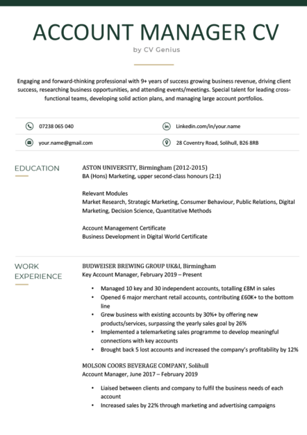 An account manager CV example