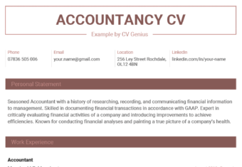 An accountancy CV example