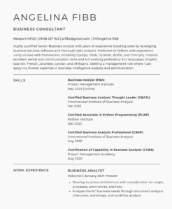 11 Bad CV Examples to Learn From - Bad Cv Examples Lies 246x300 