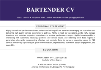 A bartender CV