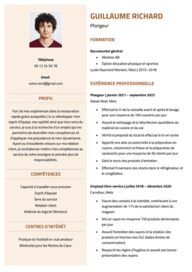Le modèle CV LibreOffice Bastille en marron