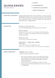 The Berkshire professional CV template, with a blue sidebar and dividing bars that serve to divide the header, personal statement, education, and work experience sections of the CV.