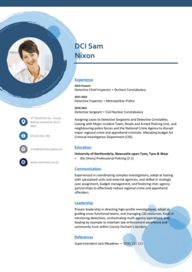 A CV template for Word called Blue Circles, accessible from Microsoft Word.
