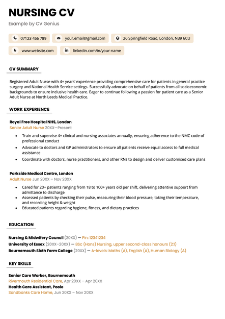 A nursing CV using the Bristol CV template skin