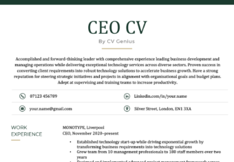 A CEO CV example with dark green header font and sections for the applicants personal statement, contact information, and work experience.