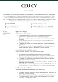 CEO CV Example 22 Skills For 2024