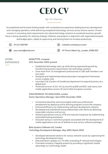 A CEO CV example with dark green header font and sections for the applicants personal statement, contact information, and work experience.