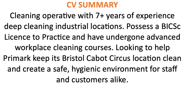 A cleaner CV summary with an orange title.