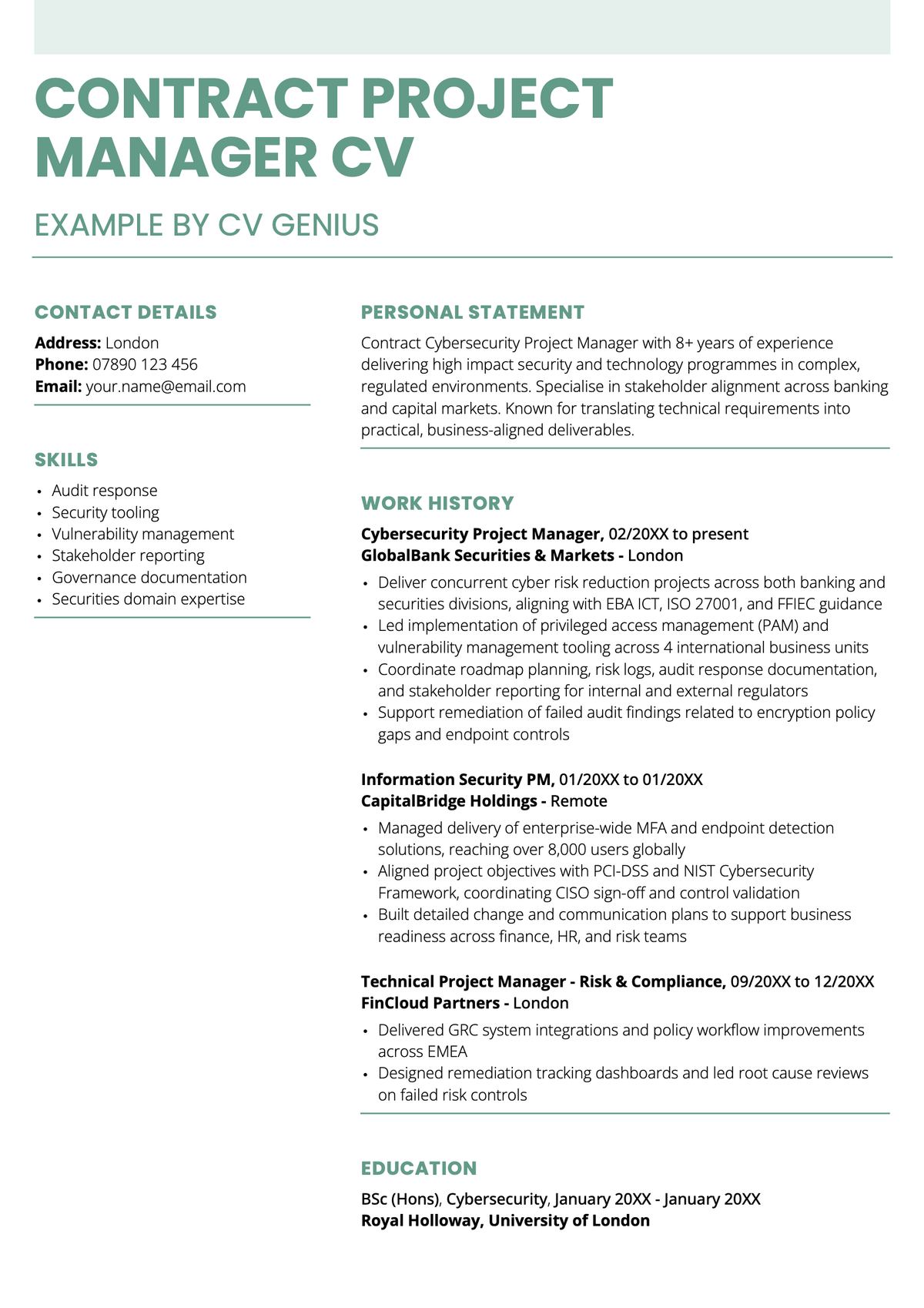 A contract project manager CV example