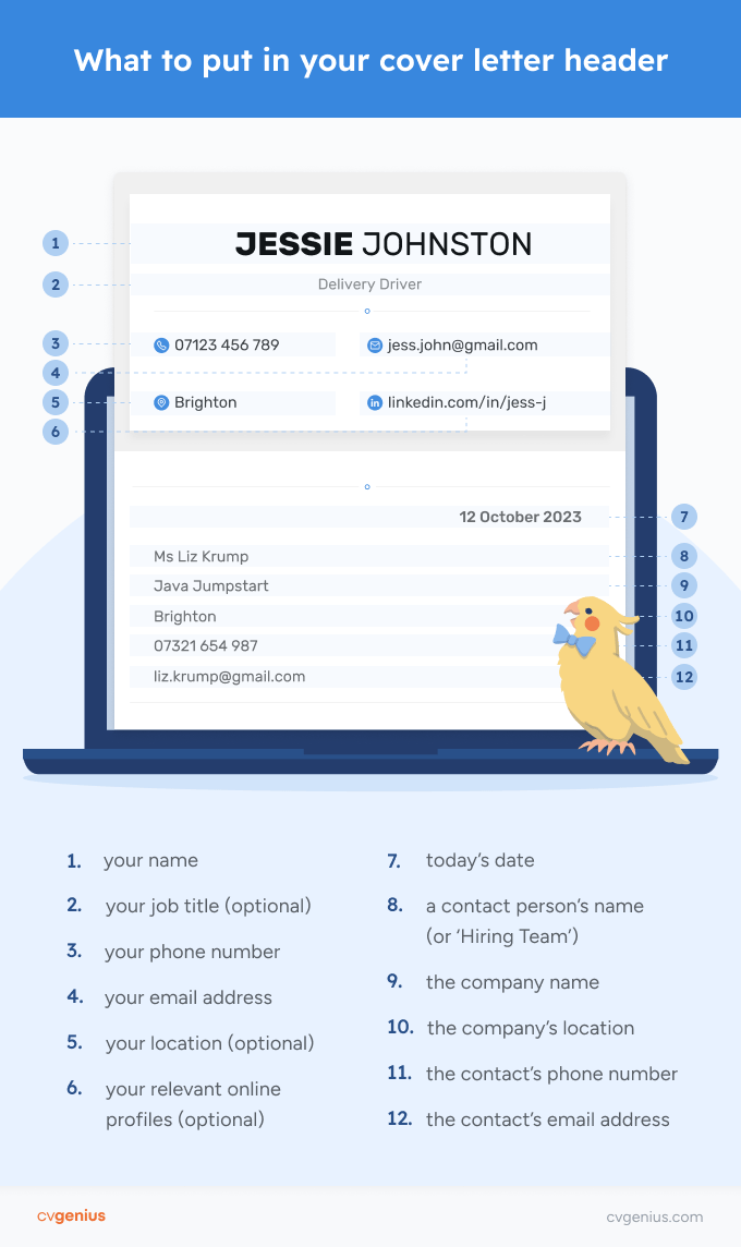 An example cover letter header on a laptop with a yellow bird in the foreground. Dark blue numbers in light blue circles label the 12 components of a cover letter heading, and a corresponding numbered list of what to include in a cover letter header is at the bottom. The applicant's details are centered at the top, the date is right-aligned, and the contact person's details are left-aligned.