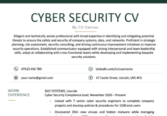 A cyber security CV example