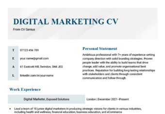 A digital marketing CV in a blue-themed template.