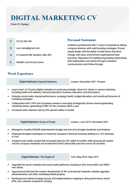 A digital marketing CV in a blue-themed template.