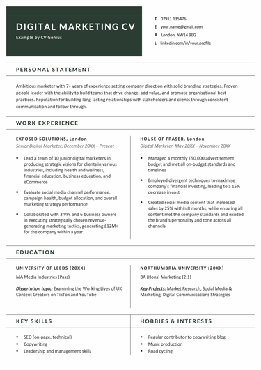 A digital marketing CV in a blue-themed template.