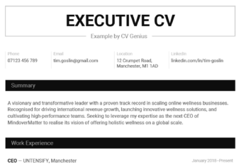 An executive CV example in a simple black & white template.