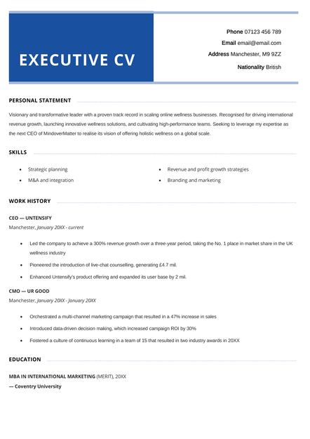 An executive CV example in navy blue.
