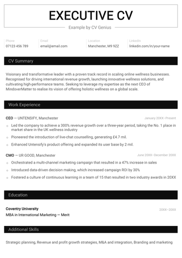 First page of an executive CV example in a simple black & white template.