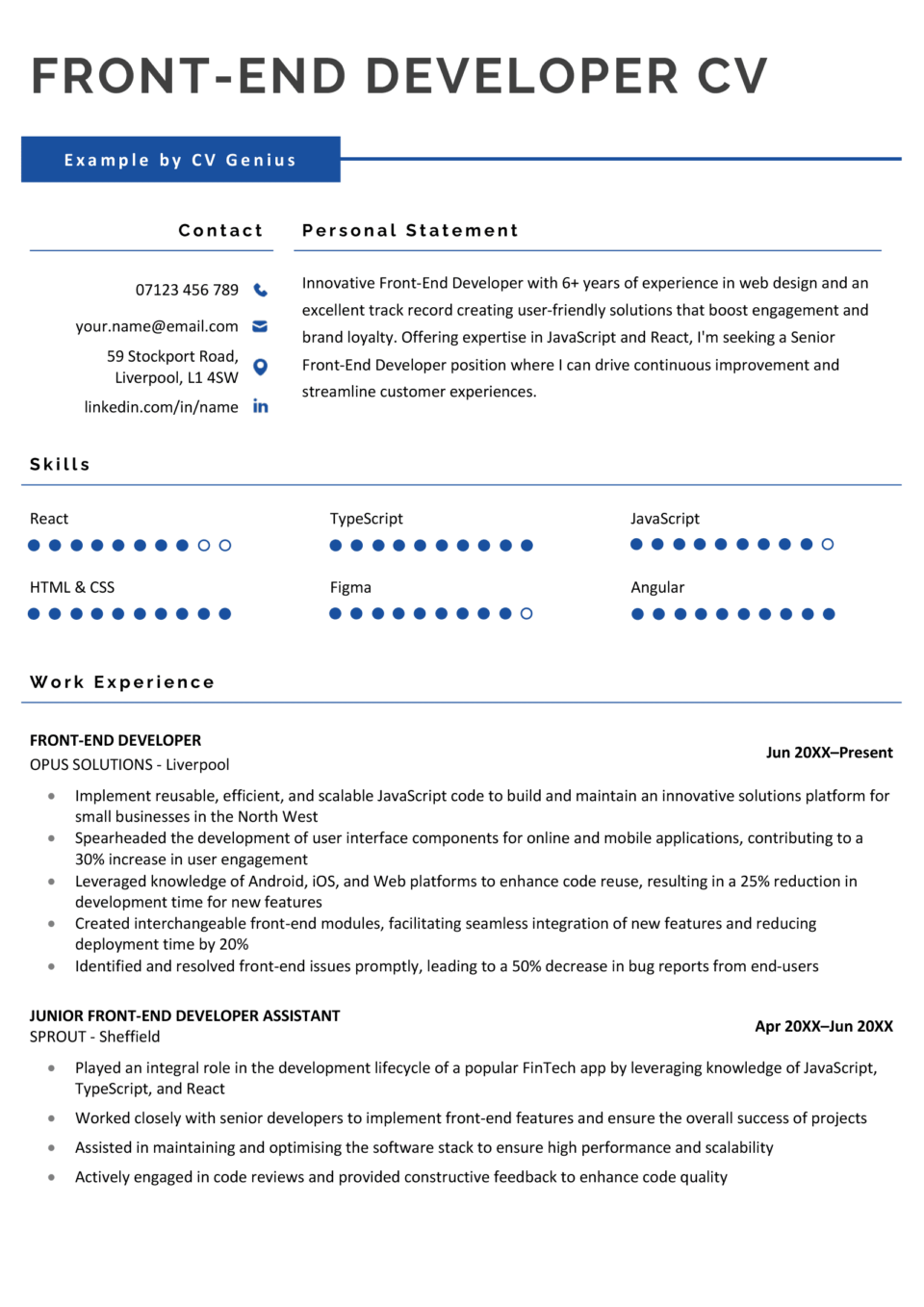 An example front-end developer CV with dark blue section dividers and graphic elements to highlight the applicants different programming skills.