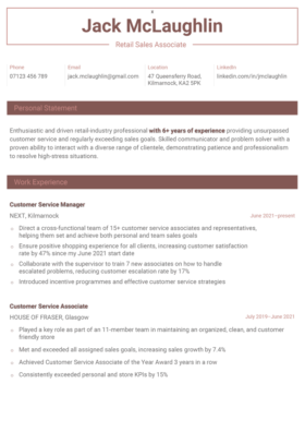 simple and basic CV template with a centered maroon header and a rectangular border, colourful blocked section headings, page 1