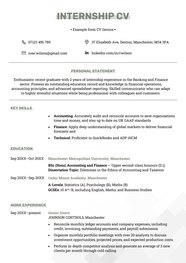 Internship CV Example UK Template Free Download 