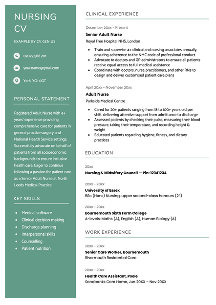 A nursing CV using the Inverness CV template skin