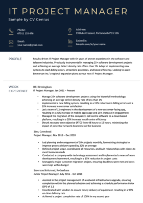 An IT project manager CV with a bold dark blue header to highlight the applicant's name and contact information and two sections displaying the applicant's profile and work experience.