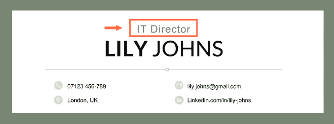 An example of an IT director job title for a female applicant on their CV header