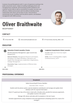 Violet version of the Lagan CV template