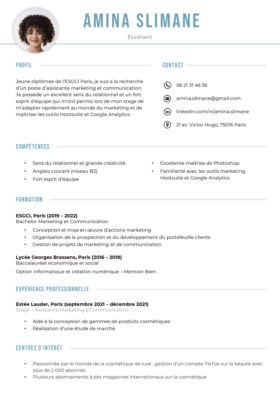 Modèle CV Luxembourg Bleu