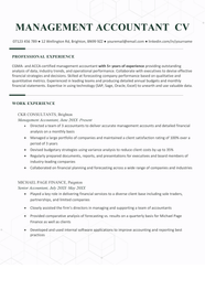 Management Accountant CV Example Skills Free Download 