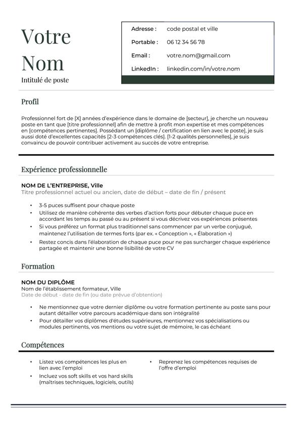 le modèle CV sans photo Lisieux en vert