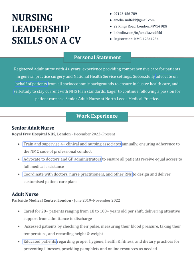 A CV example with nursing leadership skills highlighted in blue boxes. The sample features a teal background behind a personal statement written in white text and each CV section has a centered green box with white header text.