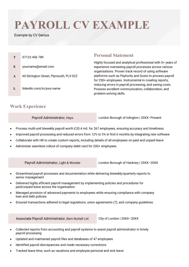 Payroll Cv Example And 21 Skills To List 3179