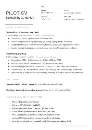 The first page of a pilot CV example.