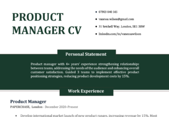 A CV example for a product manager