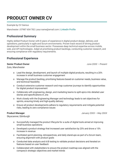 The first page of a product owner CV example